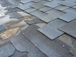 Wood Rot in Kenmore